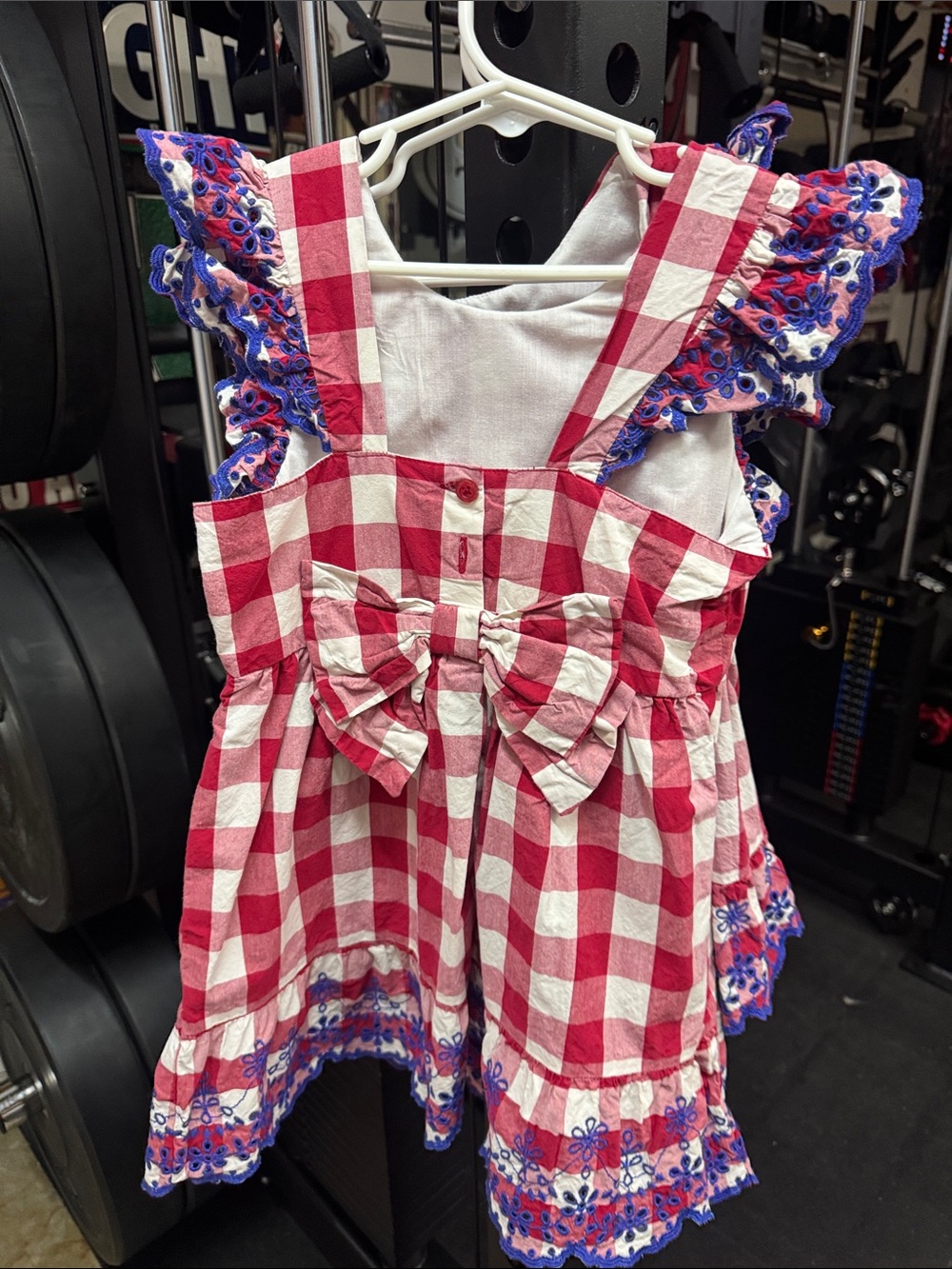 Gymboree Red & White Gingham Toddler Dress with Blue Embroidered Ruffle - Picture 2 of 4